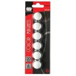 SDI Color Magnets, 20 mm, 6/pack